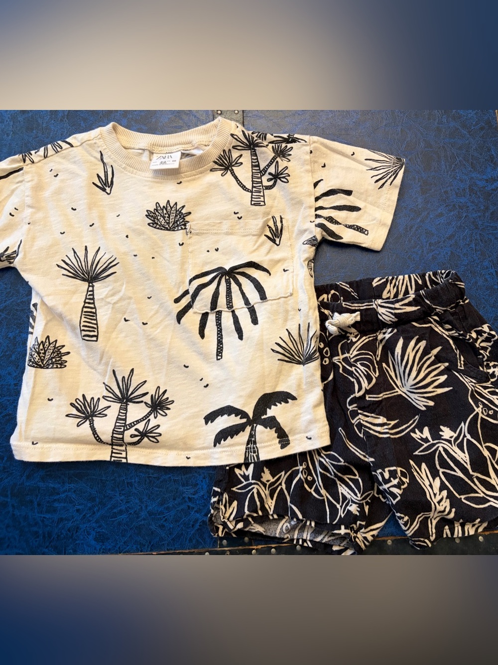Zara Cream Top and Black Palm-Print set